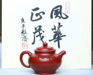 《風華正茂》