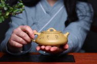 《石瓢》石瓢宜興紫砂壺純手工工藝美術(shù)師茶壺稀有本山綠泥