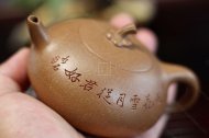 《茄瓜》